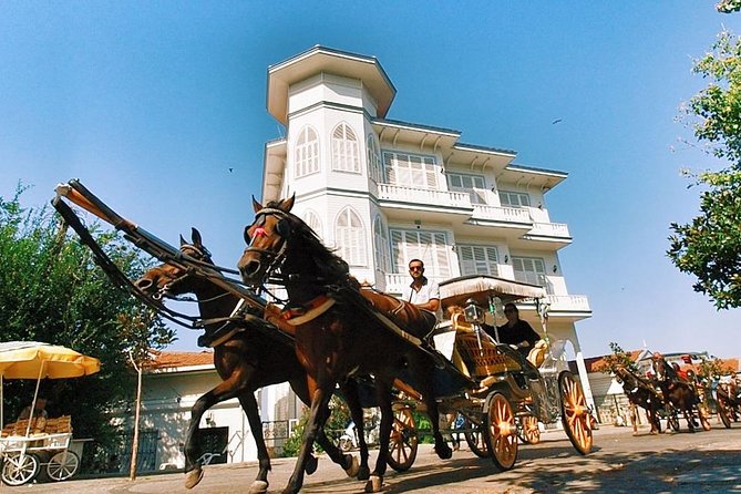 Buyukada Princes’ Island Guided Day Tour with lunch from Istanbul - Price and Value: Is $84.21 a Fair Deal?