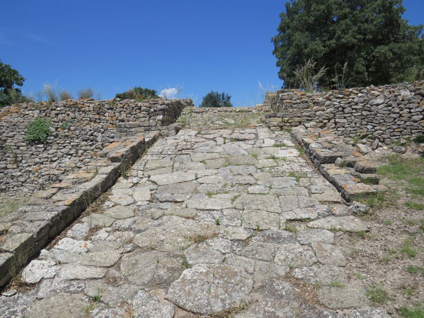 Canakkale: Full-Day Troy and Gallipoli Tour - Who this tour suits best, and who should skip it