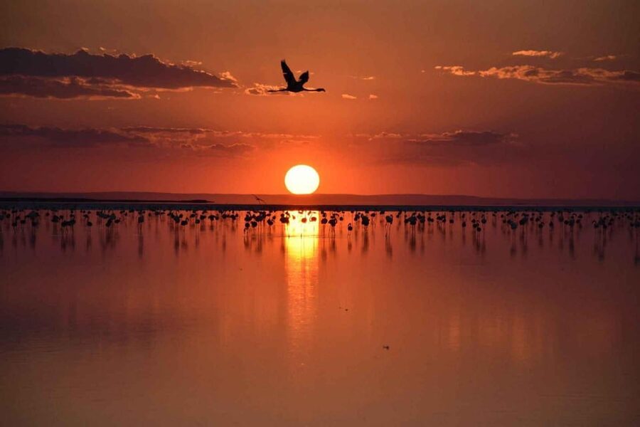 Cappadocia Amazing Sunset Tour To Salt Lake - Should you book the Cappadocia Amazing Sunset Tour to Salt Lake?