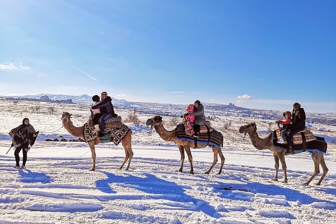 Cappadocia Camel Ride Tour - How the camel ride works: mounting, pace, and handler support