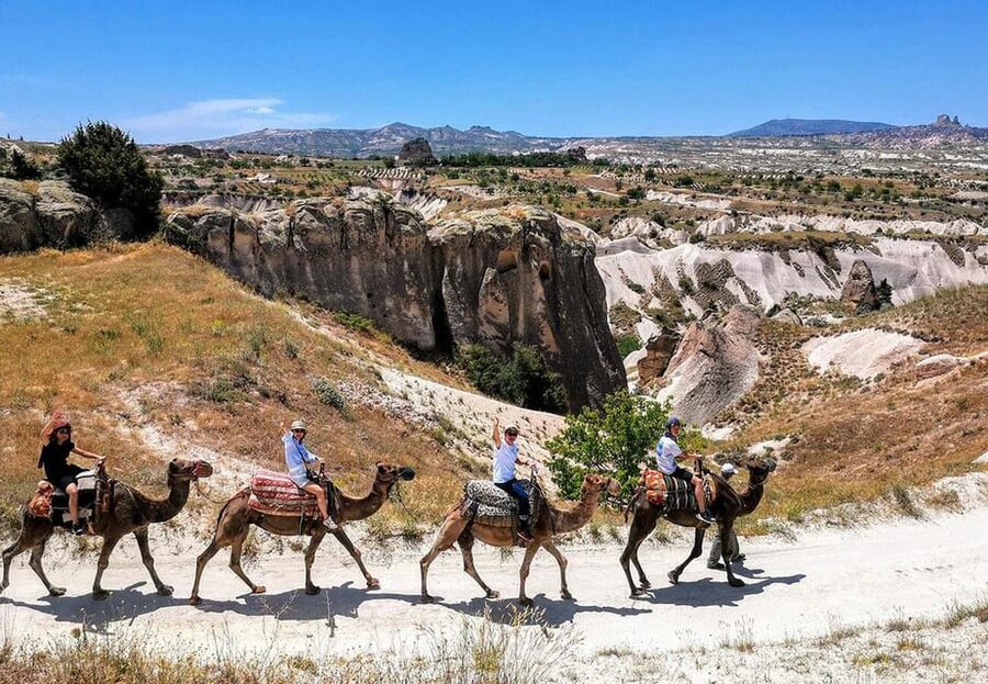 Cappadocia: Camel Safari - Key highlights worth planning for