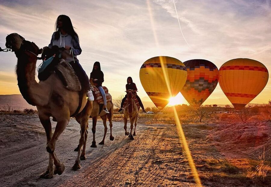 Cappadocia: Camel Safari - Safety and Animal Comfort: How to Think About It