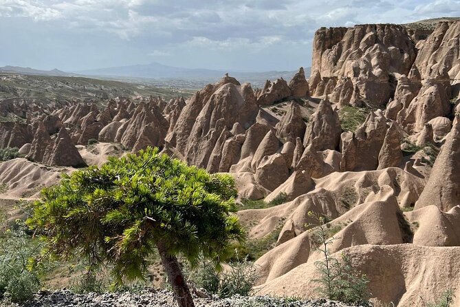 Cappadocia Daily Red Plus Tour - Pasabag Fairy Chimneys: The Ones Everyone Photographs