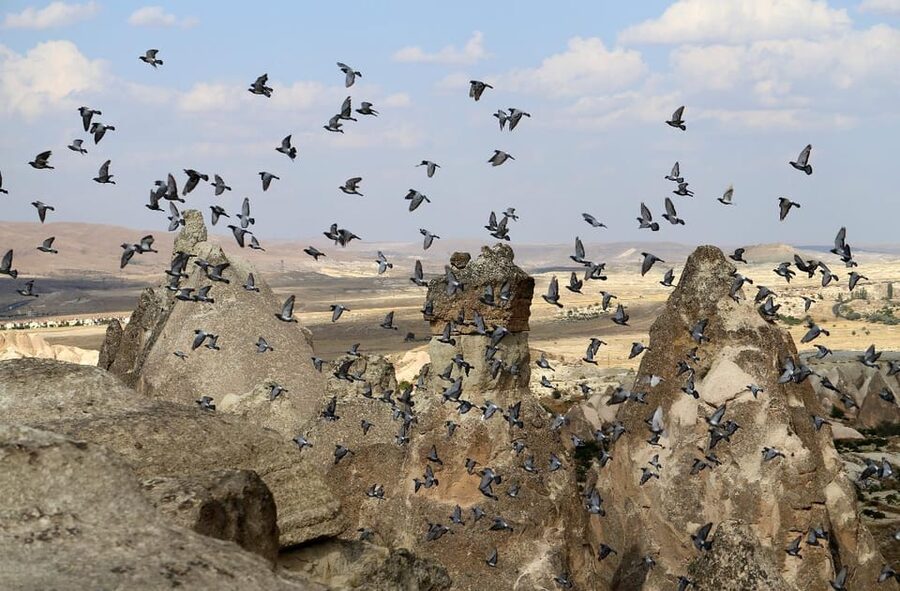 Cappadocia Green Tour (Includes lunch and museum tickets) - Kaymaklı Underground City: the showstopper at ground level