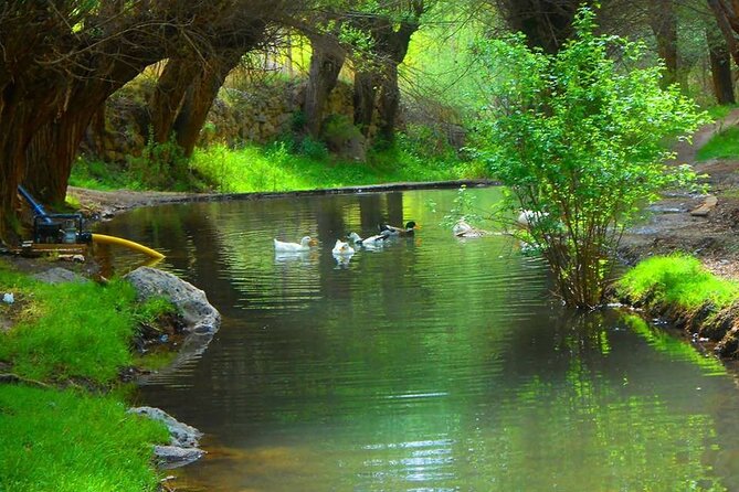 Cappadocia Guided Green Tour with Lunch & Entrance Fees - A 6 to 7 Hour Green Loop That Starts at Your Hotel