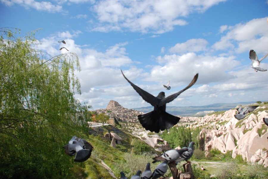 Cappadocia: Highlights Tour with Lunch and Entry Tickets - Uçhisar Castle: a strong finish for views and photos