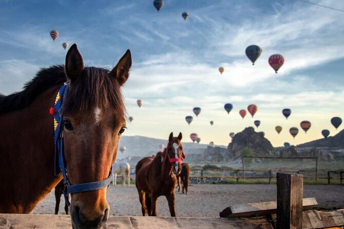 Cappadocia Horse Riding Experience Sunrise Sunset Daytime - Key things to know before you book