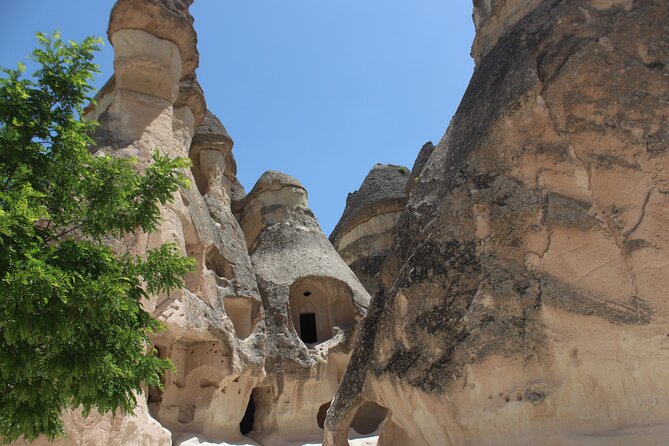 Cappadocia Red Tour: Fairy Chimneys & Cave Villages - Stop 1: Devrent Valley Camels and Elephants in 20 Minutes