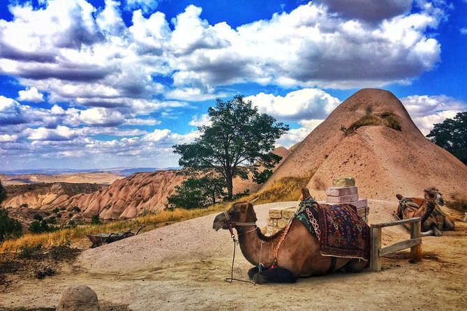 Cappadocia Red Tour (Pro Guide, Tickets, Lunch, Transfer incl) - Price and value: what you are really paying for