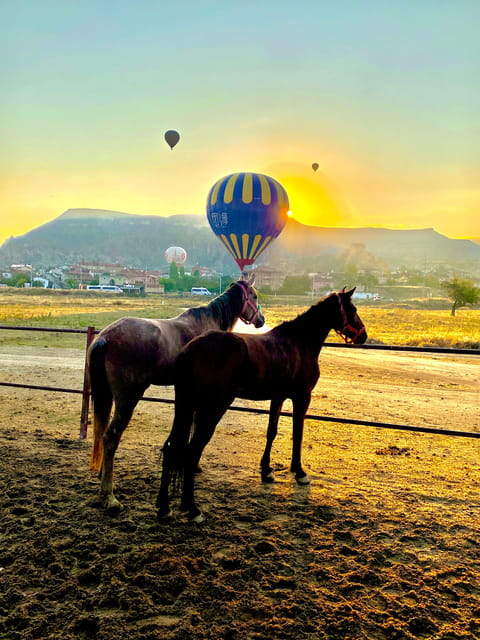 Cappadocia's Sunrise Horseback Riding - Key highlights at a glance