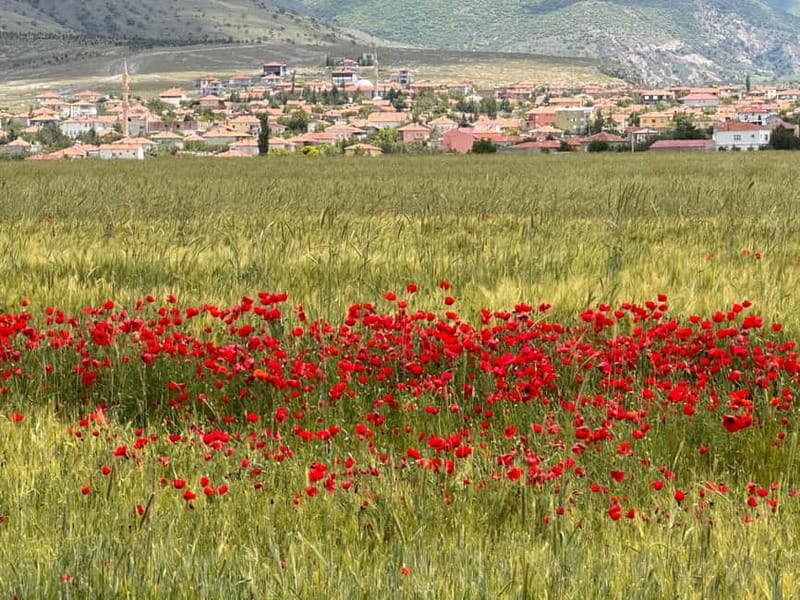 Cappadocia: Shared/Private Tour with Lunch - Craft and Snack Stops: Beyzade Kuruyemiş and ATAY PANAROMA