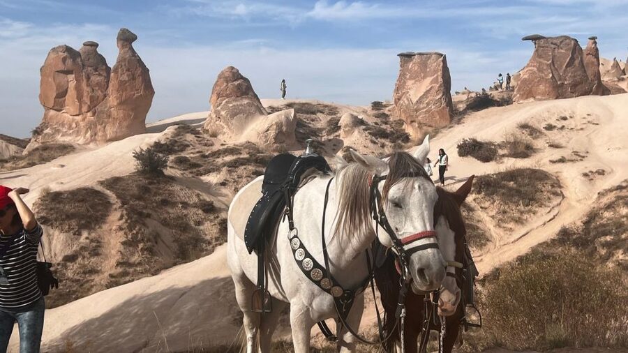 Cappadocia: Small-Group North Tour - Uçhisar: photos first, then browse if you want