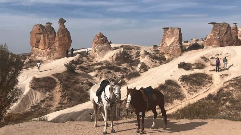 Cappadocia: Small-Group North Tour - Avanos pottery: watching tradition in motion