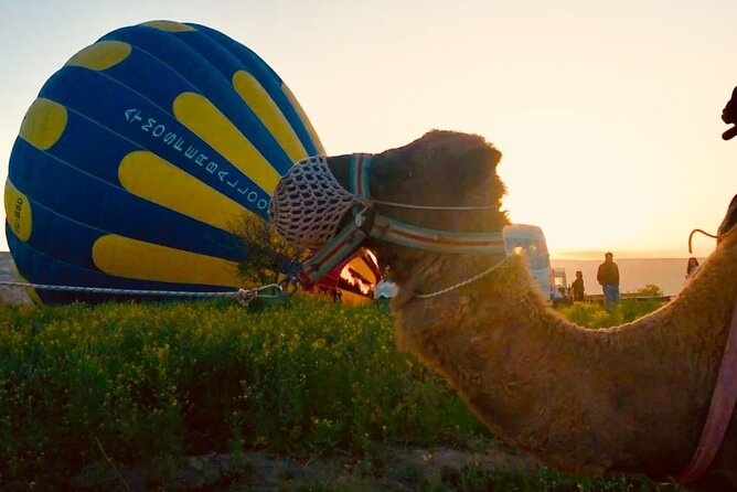 Cappadocia Sunrise Camel Safari - The Morning Rhythm: What 4:30 am Really Means