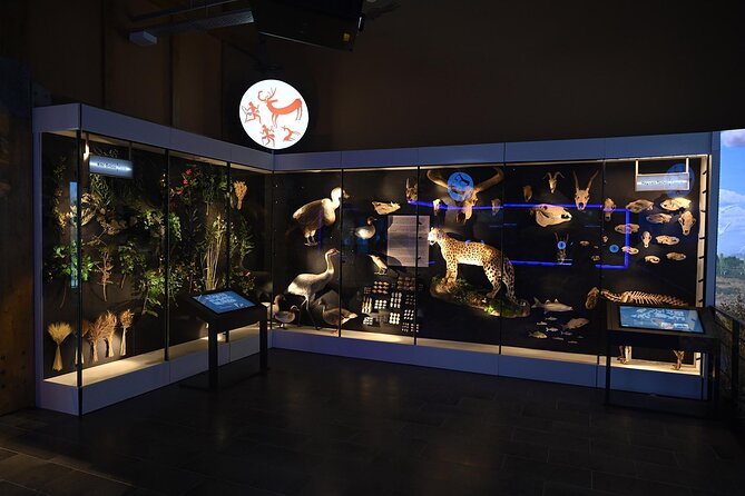 Çatalhöyük Archaeological Excavation Site and Virtual Museum - Your 2-hour visit on site: how to get the most from a short window