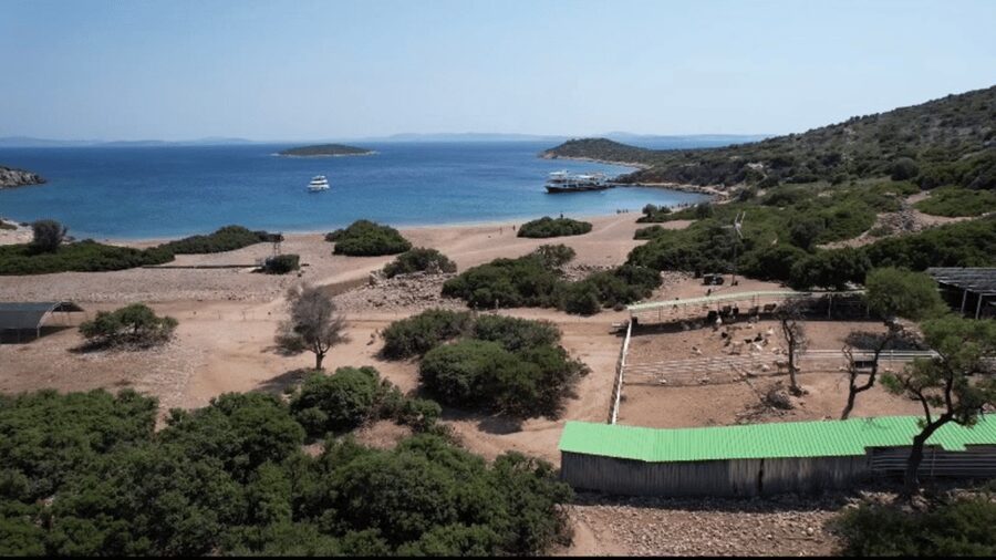 Cesme: Islands and Bays Boat Trip with BBQ Lunch - Secret stop time and the end-of-day cruise
