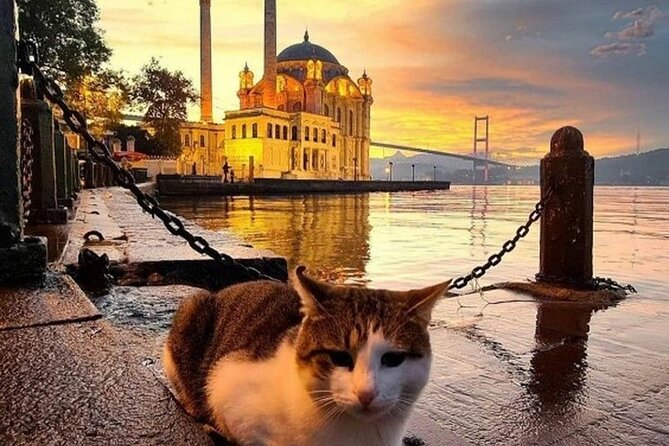 Circle Istanbul (Extraordinary Istanbul) - Bosphorus cruise: your two-continent view ticket