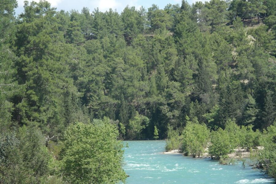 City of Side: Eagle Canyon and Selge Ancient City Day Trip - Selge Ruins in 40 Minutes: Make It Count Without Getting Lost