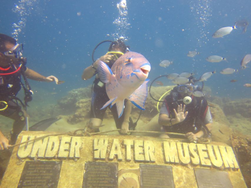 City of Side: Scuba Diving with Lunch - Photos and extras: budget for memories, or bring your own camera
