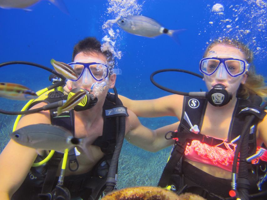 City of Side: Underwater Museum Scuba Diving Visit - Shallow Water in Practice: What You Should Notice Underwater