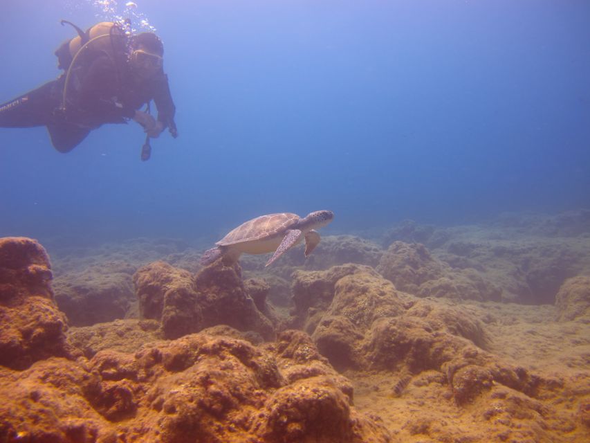 City of Side: Underwater Museum Scuba Diving Visit - Who This Tour Is For (and Who Should Skip It)