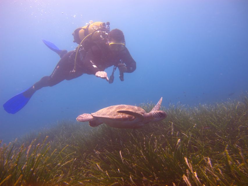 City of Side: Underwater Museum Scuba Diving Visit - Getting There From Side: Pickup, Harbor Walk, and Heat Reality
