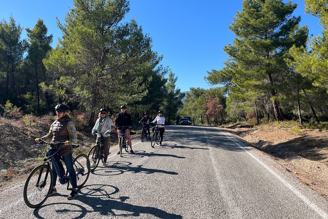 Cycling Through Vineyards & Farm Lunch & Ephesus visit - The e-bike advantage and what moderate fitness really means here