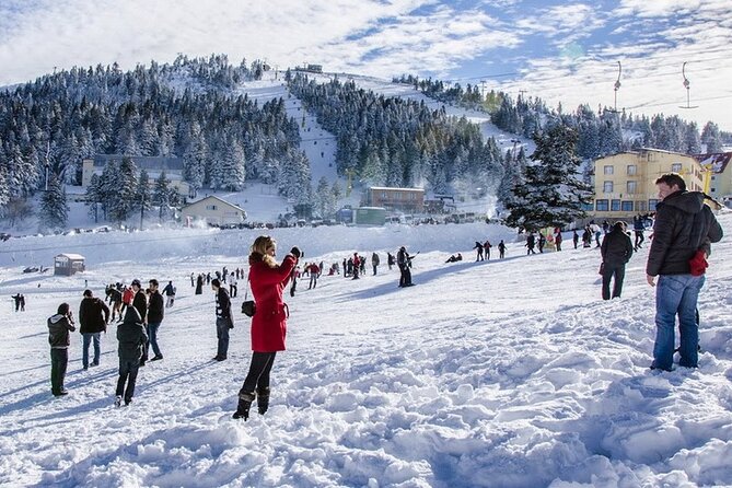 Daily Bursa Uludag Mountain & Cable Car Tour with Lunch from Istanbul - Uludag National Park: cable car down, and why timing matters