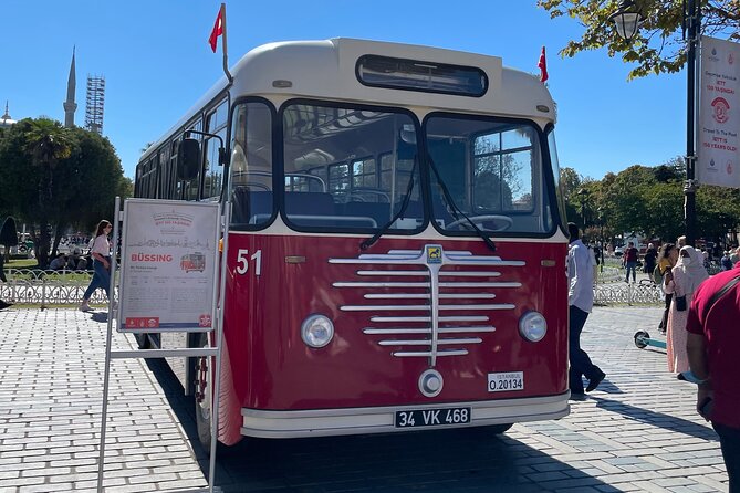 Daily istanbul tour with a licensed guide - Price and Value: Licensed Guide, Skip-The-Line Access, and Separate Tickets