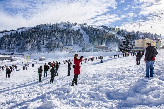 Daily Sapanca & Maşukiye & Mahmudiye Tour with Lunch from Istanbul - Lake Sapanca Time: The Main Show, Including Admission