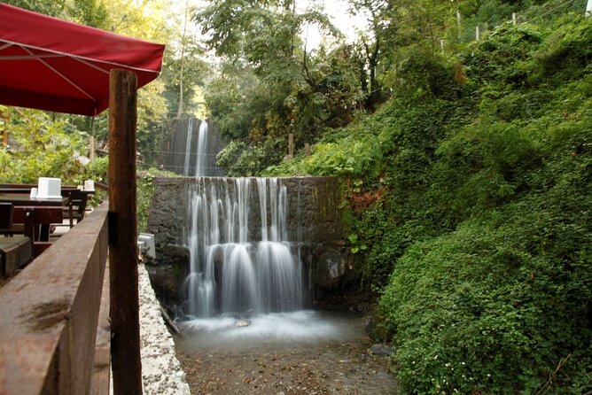 Daily Sapanca & Maşukiye & Mahmudiye Tour with Lunch from Istanbul - The 9:00 AM Start: Your Day Trip Runs Long
