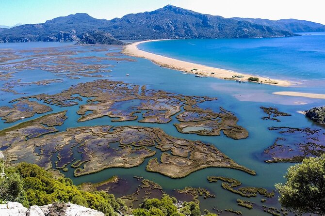 Dalyan Day Trip with Mud Bath and Turtle Beach From Fethiye - Dalyan River Cruise: Relaxed Water Time in the Middle of the Day