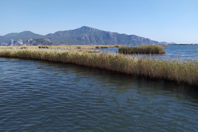 Dalyan Mud Bath and Turtle Beach from Sarigerme - Who This Tour Suits Best (and Who Should Rethink It)
