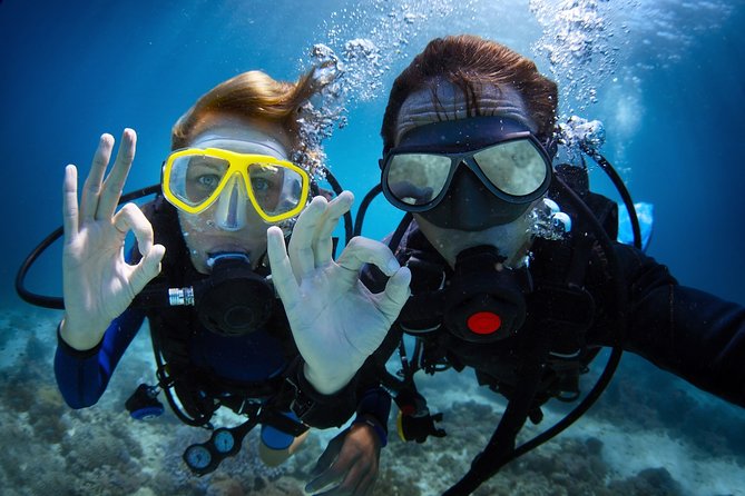 Diving in the Mediterranean sea - From Hotel Pickup to Open Water: How This 8-Hour Cruise Plays Out