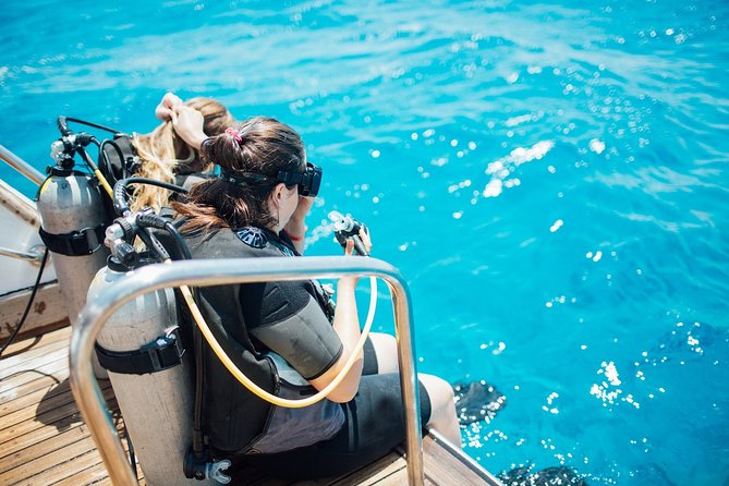 Diving in the Mediterranean sea - Two Scuba Sessions for Beginners: What You Can Expect Underwater