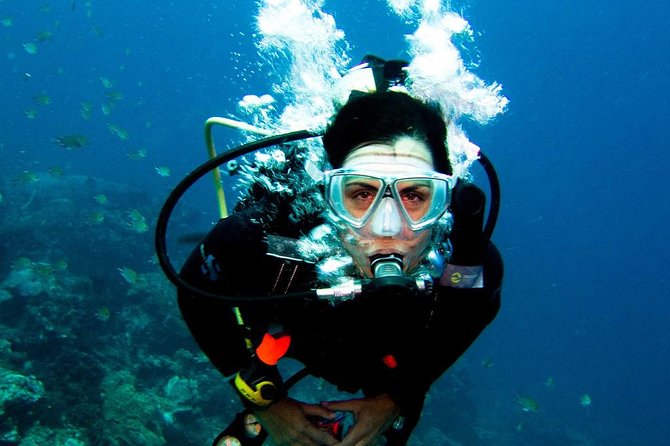 Diving in the Mediterranean sea - Getting the Best Day: Pickup, Timing, Language, and Safety Swaps