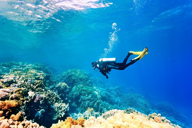 Diving in the Mediterranean sea - Snorkeling Breaks and the Lunch Factor: Why the In-Between Time Matters