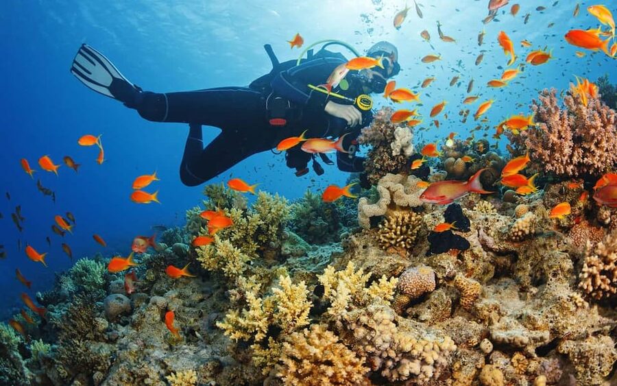 Diving Tour from Alanya & Side with Lunch - 2 Dives Included - The 6 m and 12 m Plan: How the Day Is Built Underwater