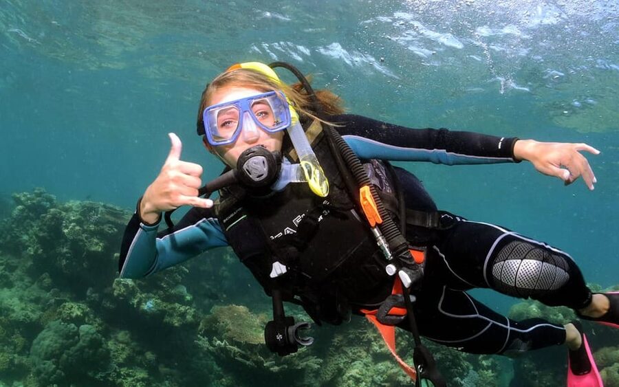 Diving Tour from Alanya & Side with Lunch - 2 Dives Included - Marine Life and Possible Underwater History: What You Might See