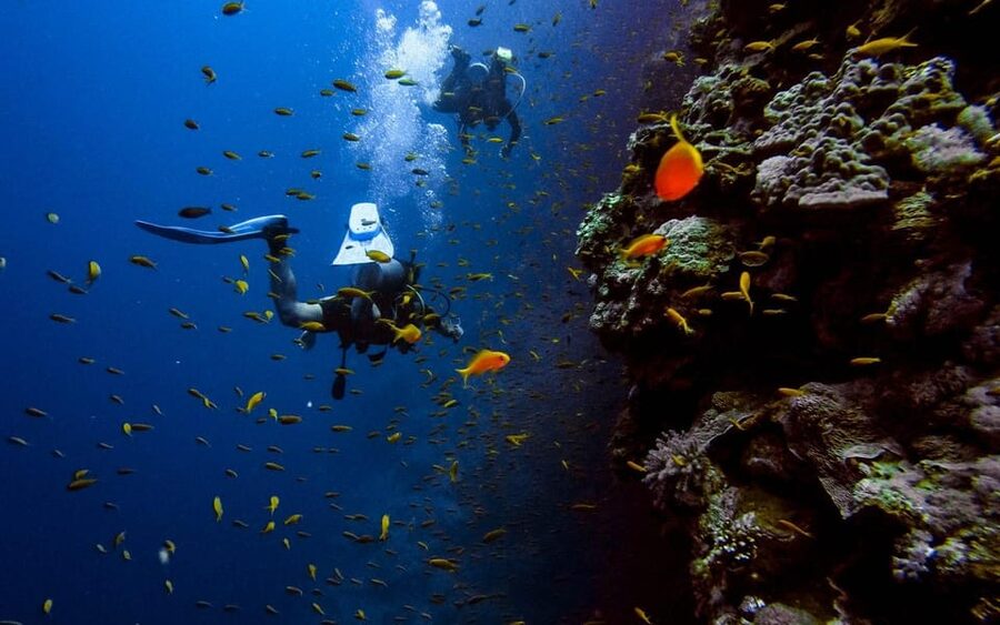Diving Tour from Alanya & Side with Lunch - 2 Dives Included - Meals on the Boat and Lunch on Land: Simple, Practical Comfort