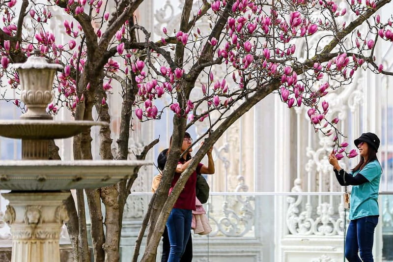 Dolmabahce Palace & Harem Fast-Track Entry with Audio Guide - How Much Time You Need (And How to Avoid a Midnight Panic)