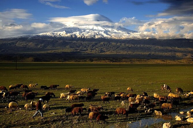Eastern Turkey 12-Day Sightseeing Tour from Trabzon - Day 3: Erzurum City Centers and the Scale of Ani