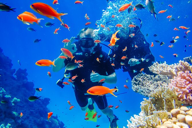 Exciteful Scuba Diving Experience in Antalya - Key points for your Antalya scuba plan