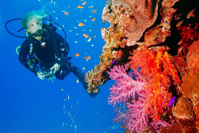 Exciteful Scuba Diving Experience in Antalya - Konyaaltı underwater sessions: what this outing is really for