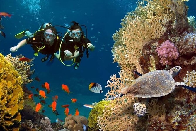 Exciteful Scuba Diving Experience in Antalya - Gear, safety briefing, and underwater communication basics