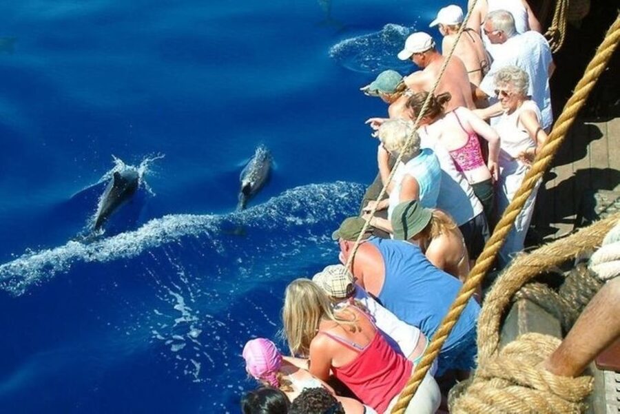 Explore Alanya's Beauty Catamaran Boat Tour - Mud Cave and Ulash Beach: Two Swimming Breaks That Change the Feel