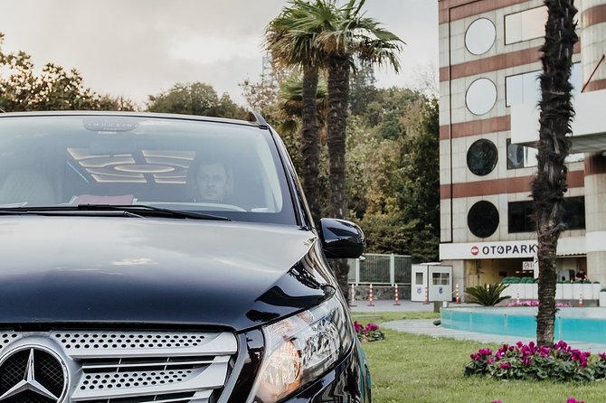 Fat Taxi - Private Istanbul Airport (IST) Transfer to City - Price and value: what $60.34 per person really buys you