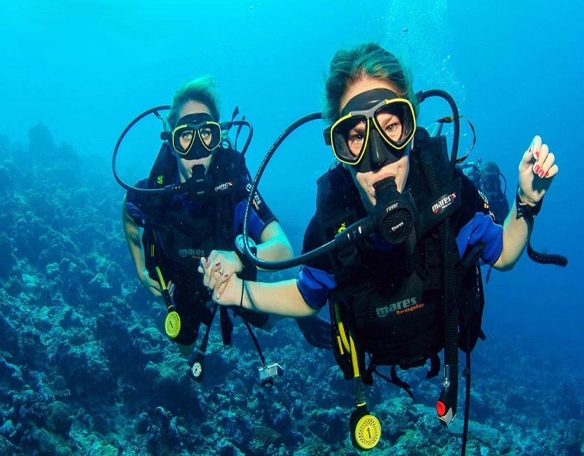 Fethiye: 2 Guided Scuba Dives with Lunch and Hotel Transfers - Key Points Worth Noting Before You Go