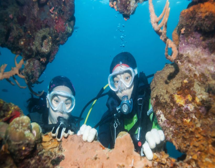 Fethiye: 2 Guided Scuba Dives with Lunch and Hotel Transfers - Fethiye’s Underwater Scenery, With Real Visibility
