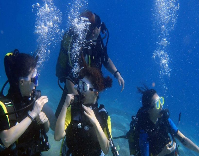 Fethiye: 2 Guided Scuba Dives with Lunch and Hotel Transfers - Training and Gear Checks: How Beginners Get Comfortable